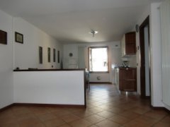 Large two-room apartment with kitchen and cellar - 2