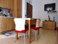 Ace - One bedroom apartment with terrace and private parking - 2