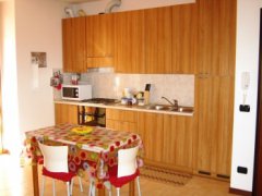 Ace - One bedroom apartment with terrace and private parking - 4